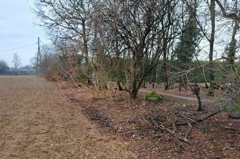 immagine annuncio 4 di 10