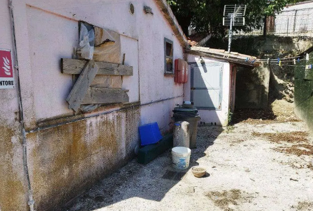 immagine annuncio 6 di 10