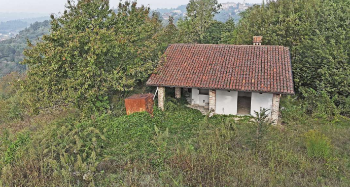 immagine annuncio 2 di 10