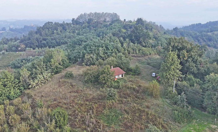 immagine annuncio 6 di 10