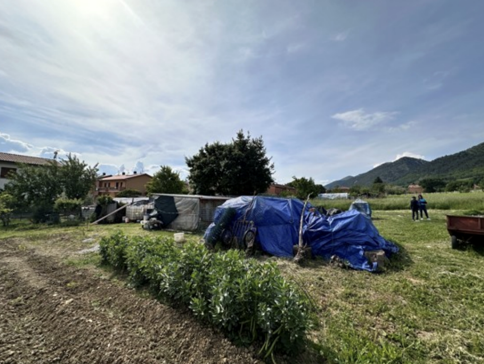 immagine annuncio 6 di 10