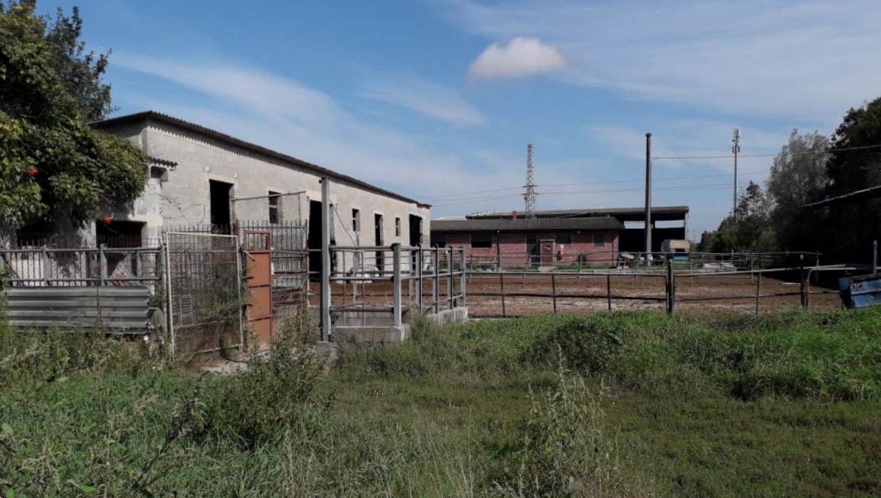 immagine annuncio 5 di 10