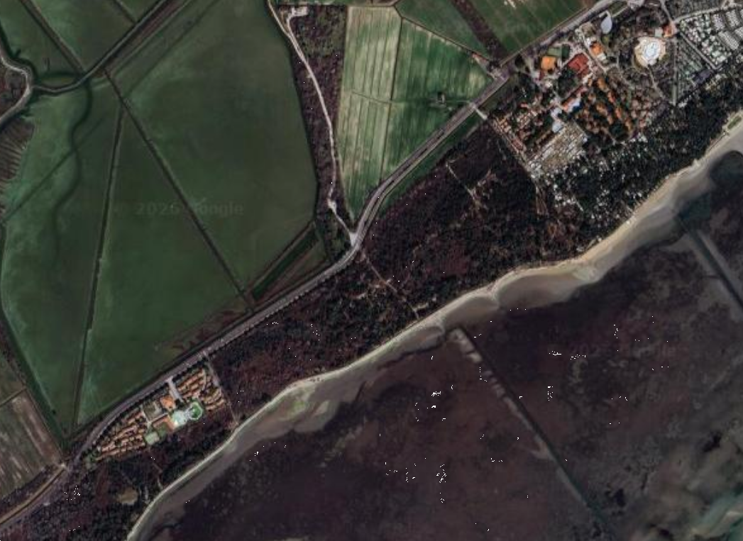 immagine annuncio 7 di 9