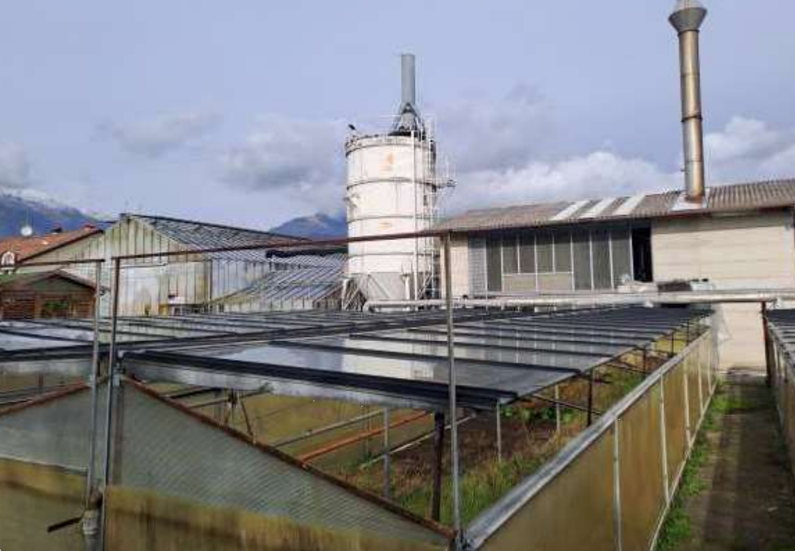 immagine annuncio 1 di 10