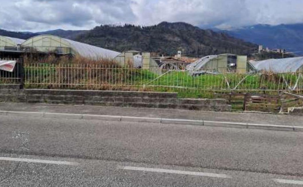 immagine annuncio 2 di 10