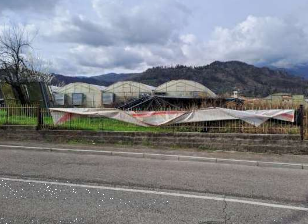 immagine annuncio 5 di 10