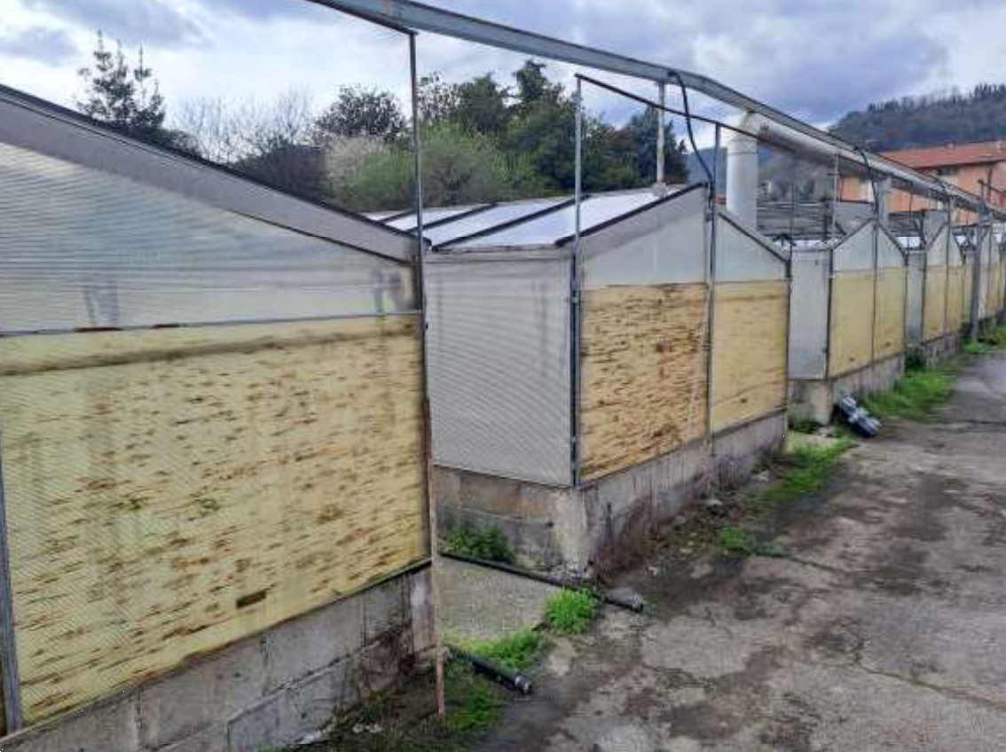 immagine annuncio 8 di 10