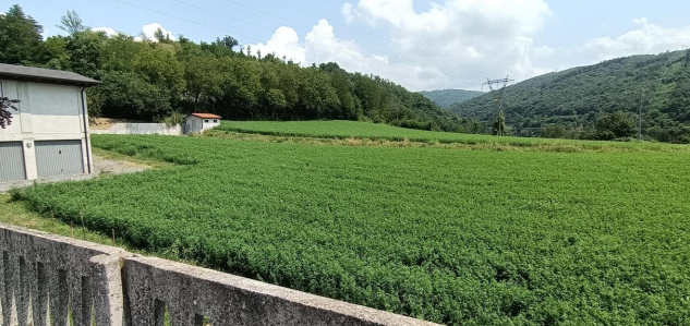 immagine annuncio 3 di 10