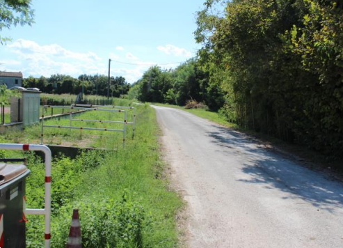 immagine annuncio 3 di 10