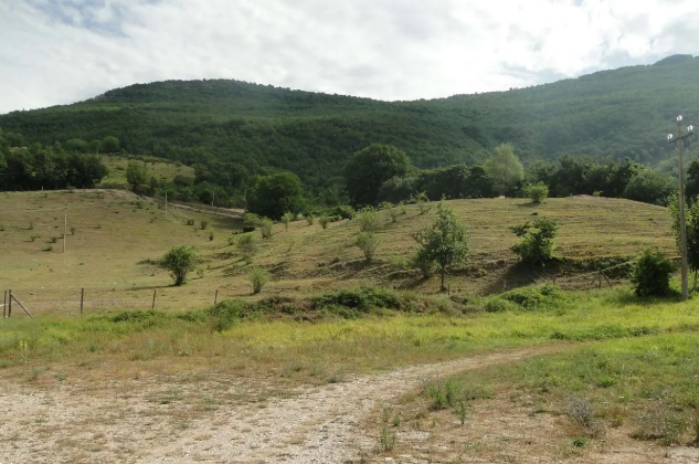 immagine annuncio 1 di 10