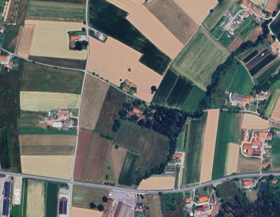 immagine annuncio 7 di 10