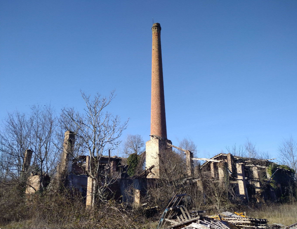 immagine annuncio 1 di 10