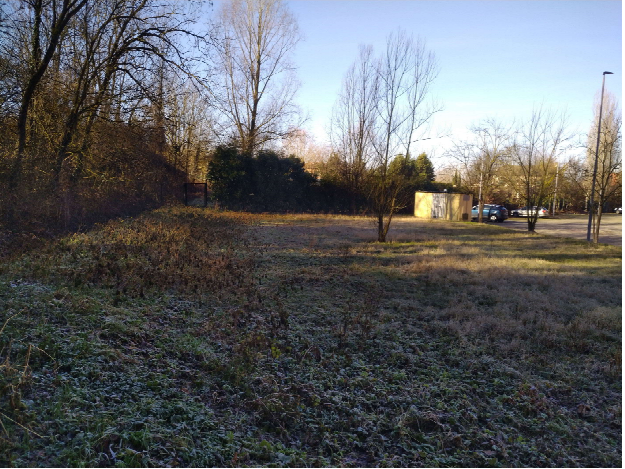 immagine annuncio 5 di 10