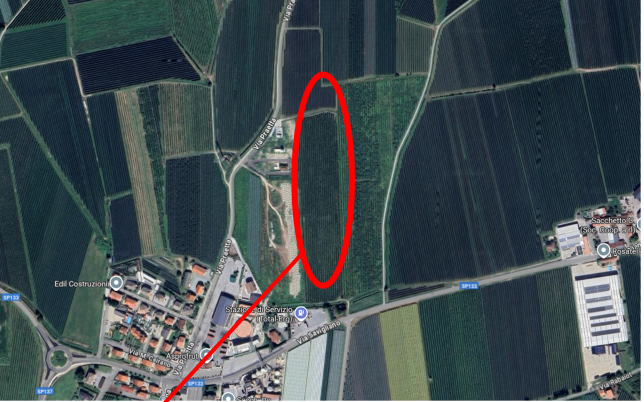 immagine annuncio 3 di 10