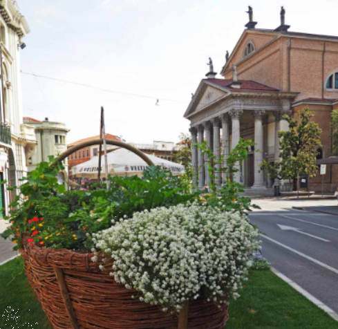 immagine annuncio 9 di 10