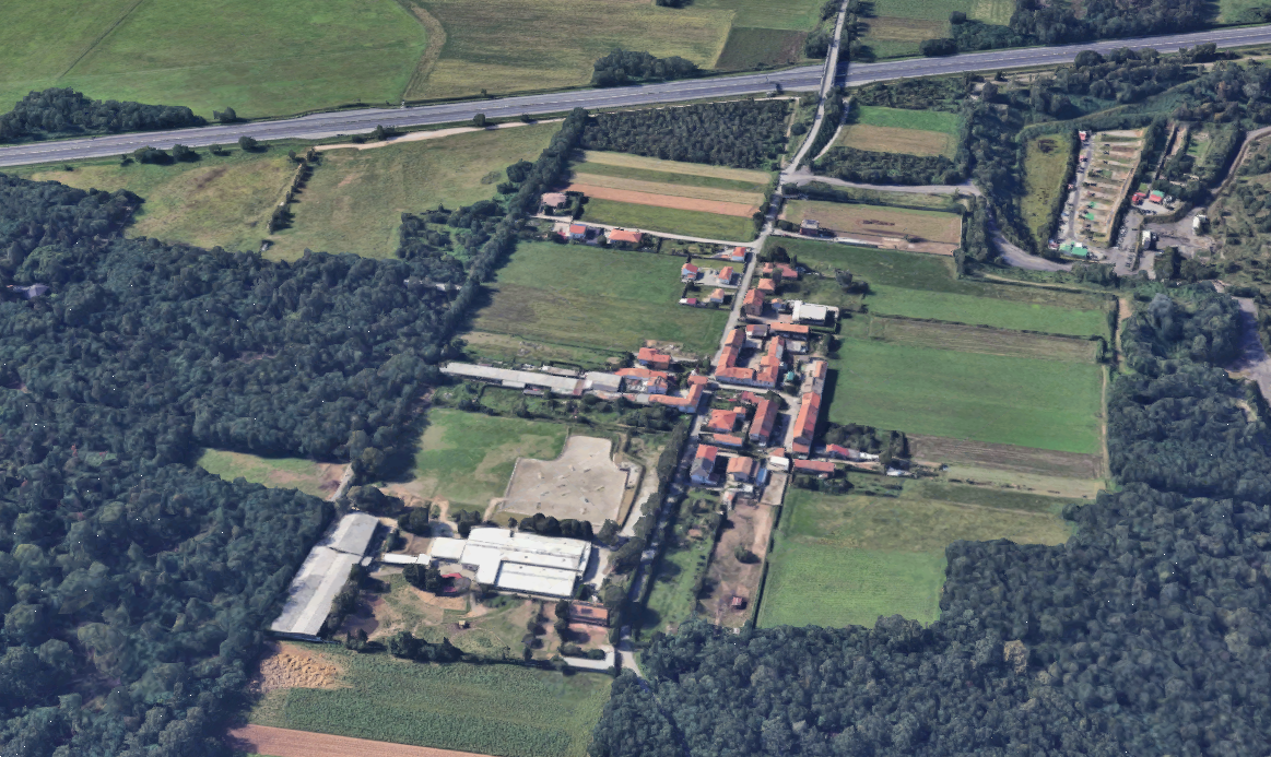 immagine annuncio 6 di 10