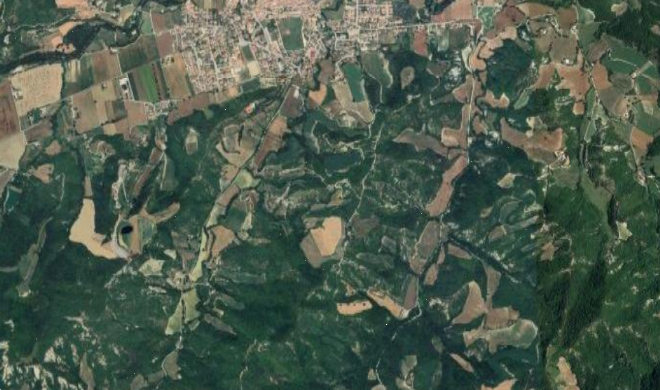 immagine annuncio 3 di 8