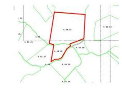 immagine annuncio 2 di 8