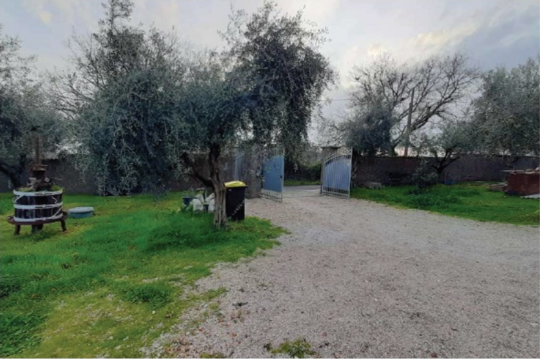 immagine annuncio 2 di 10