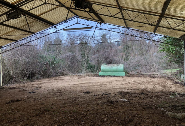 immagine annuncio 4 di 9