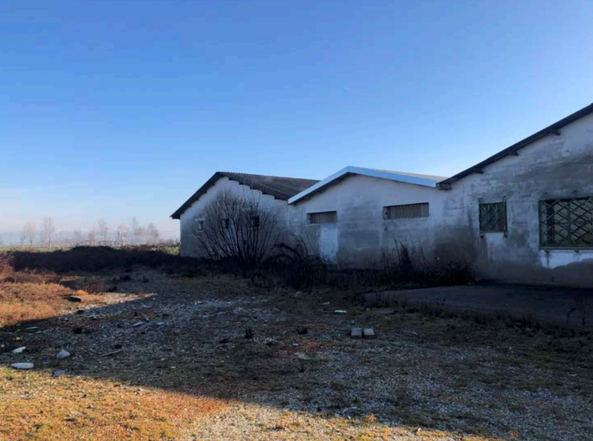 immagine annuncio 5 di 10