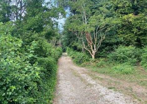 immagine annuncio 5 di 10