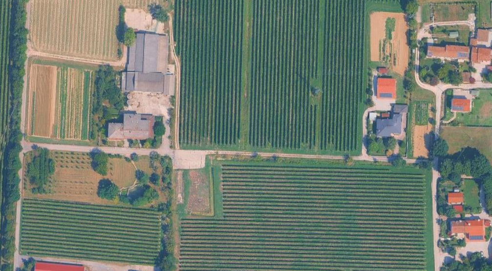 immagine annuncio 5 di 10