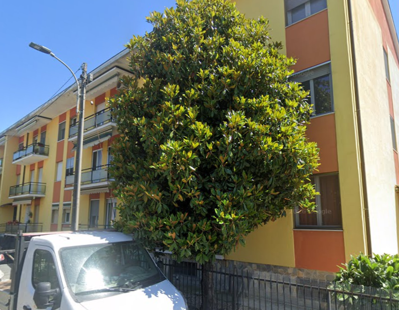 immagine annuncio 2 di 10