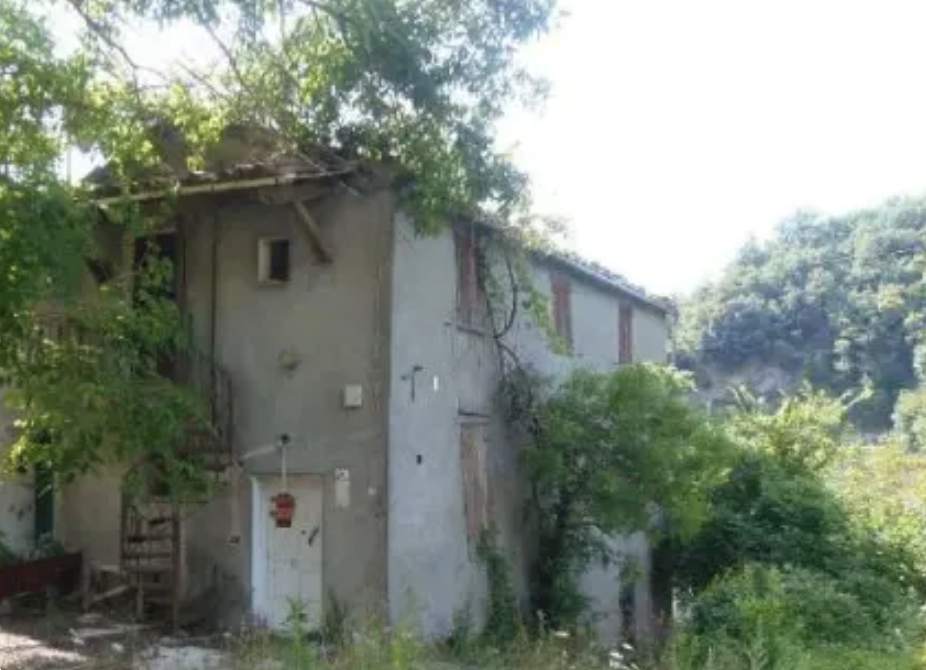 immagine annuncio 3 di 10