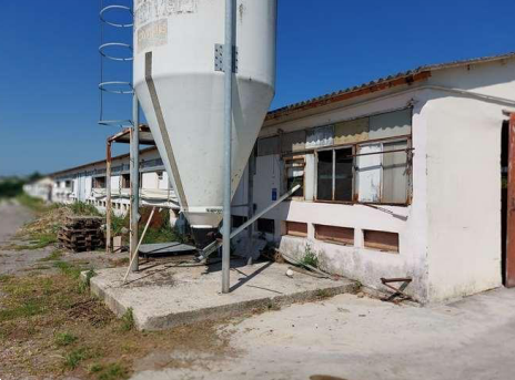immagine annuncio 4 di 10