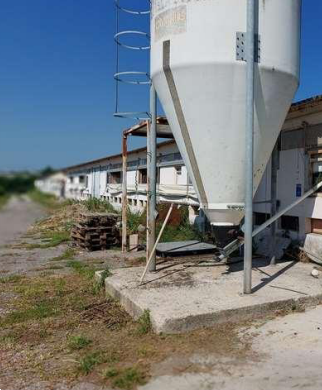 immagine annuncio 8 di 10