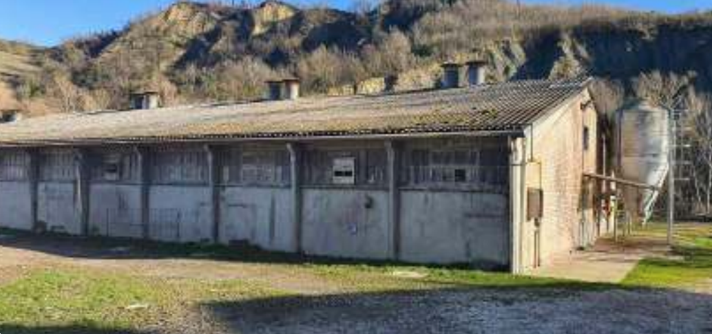 immagine annuncio 9 di 10