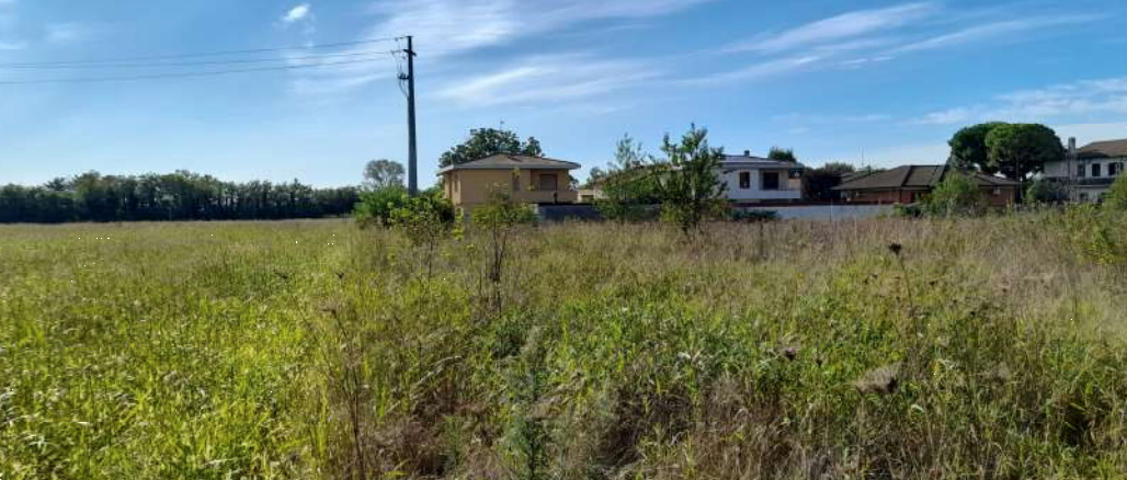 immagine annuncio 3 di 10