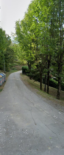 immagine annuncio 2 di 7