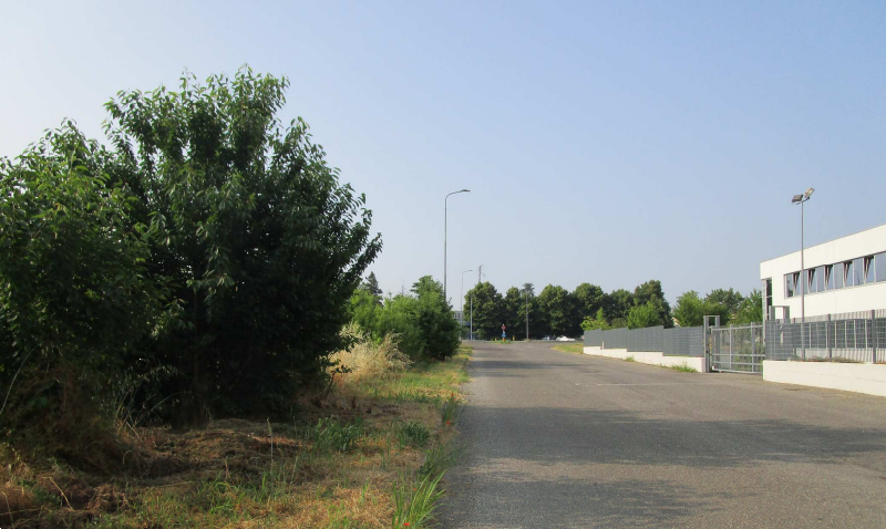 immagine annuncio 1 di 10
