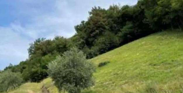 immagine annuncio 1 di 10