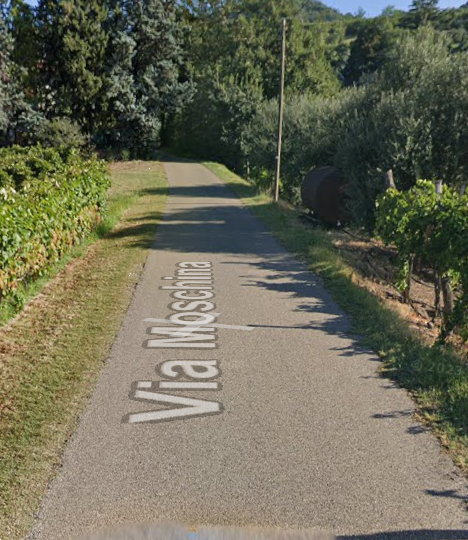 immagine annuncio 4 di 10
