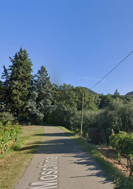 immagine annuncio 7 di 9