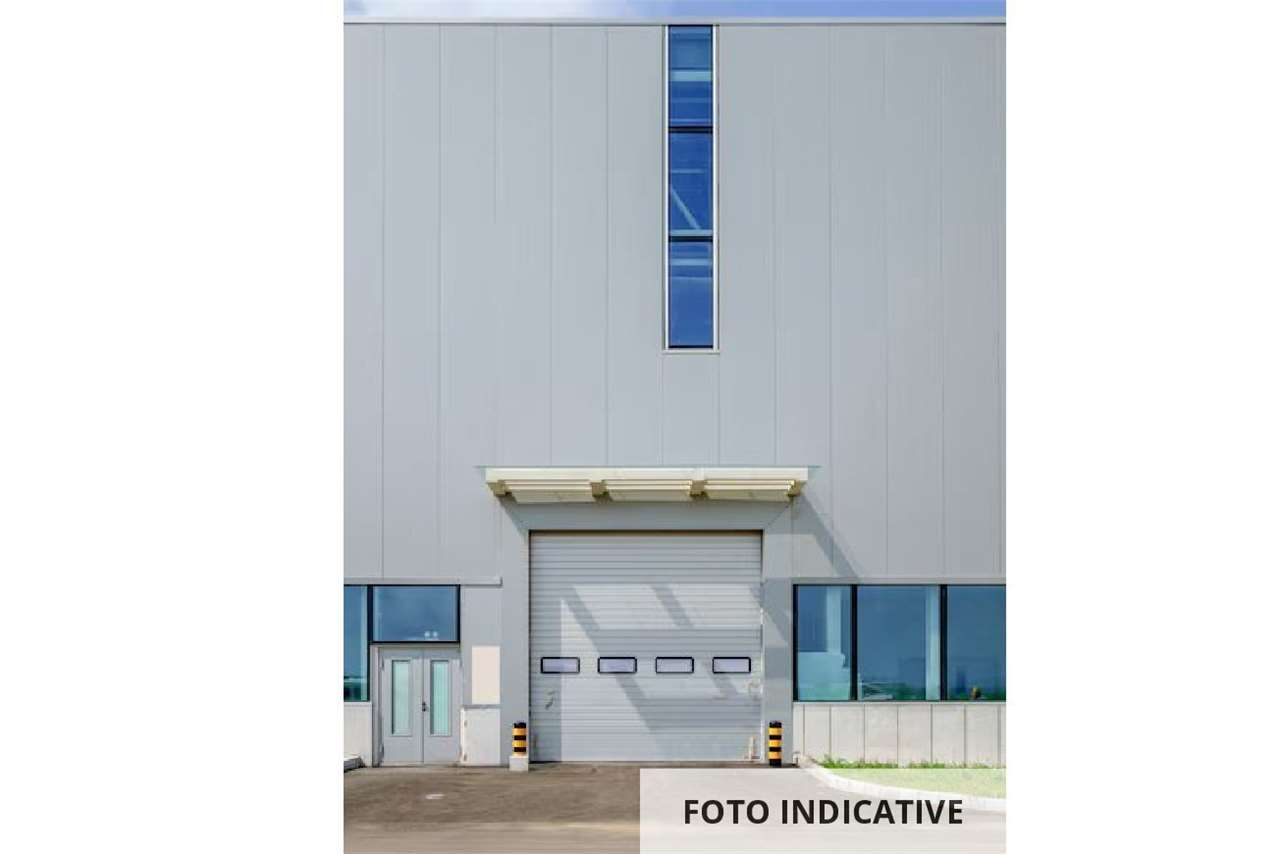 immagine annuncio 2 di 10