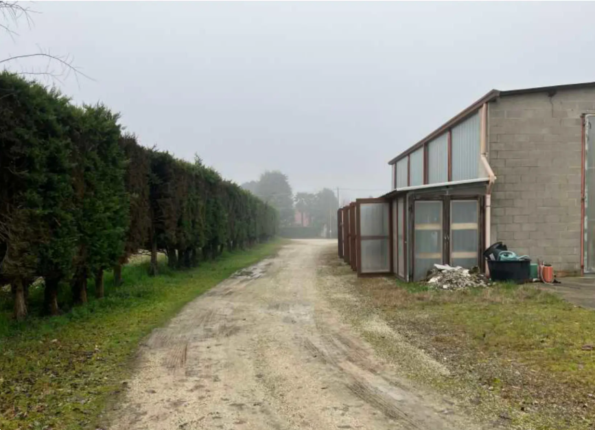 immagine annuncio 5 di 10