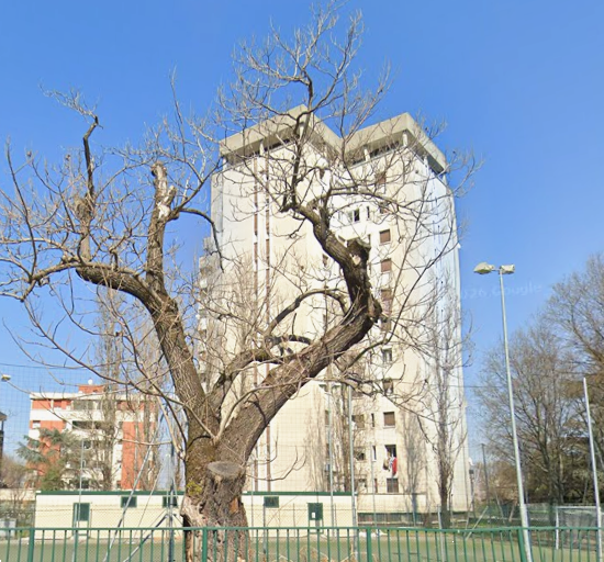 immagine annuncio 7 di 10