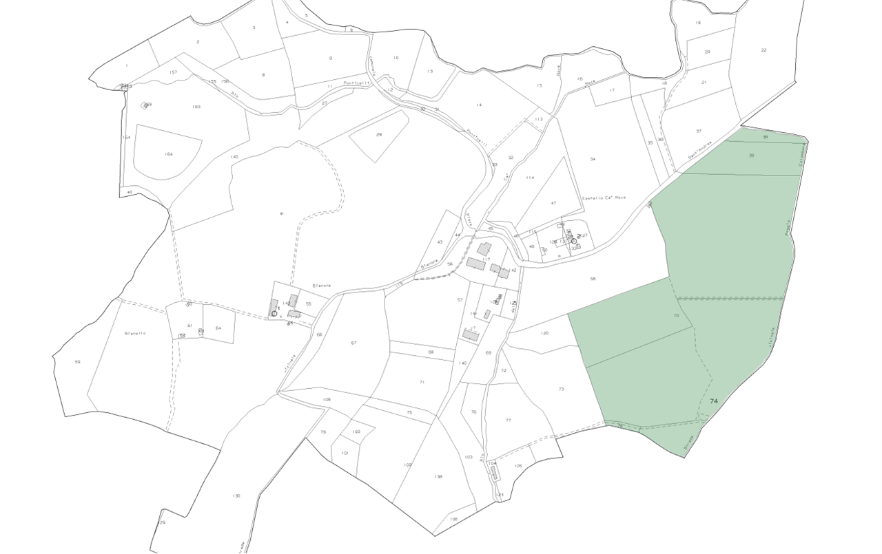 immagine annuncio 8 di 10