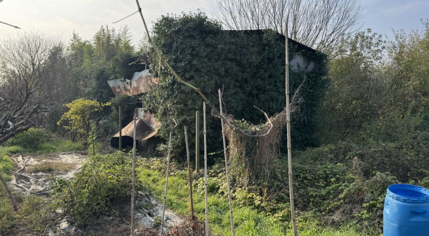 immagine annuncio 2 di 10