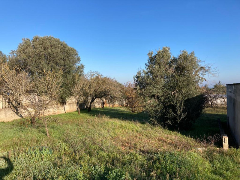 immagine annuncio 5 di 7