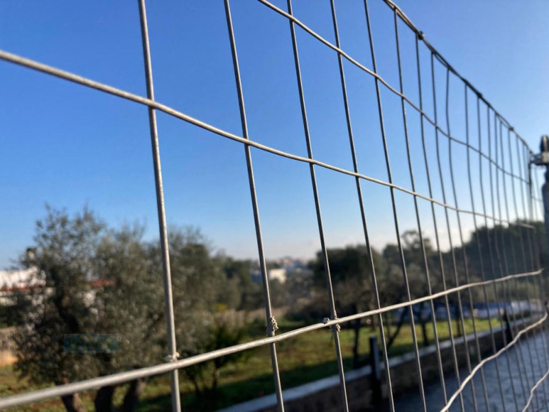 immagine annuncio 6 di 7