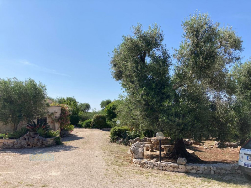 immagine annuncio 5 di 10