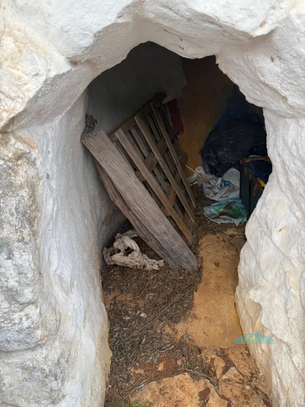 immagine annuncio 2 di 6