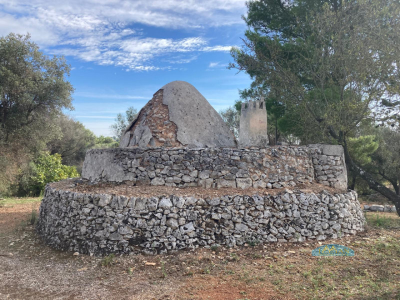 immagine annuncio 7 di 9