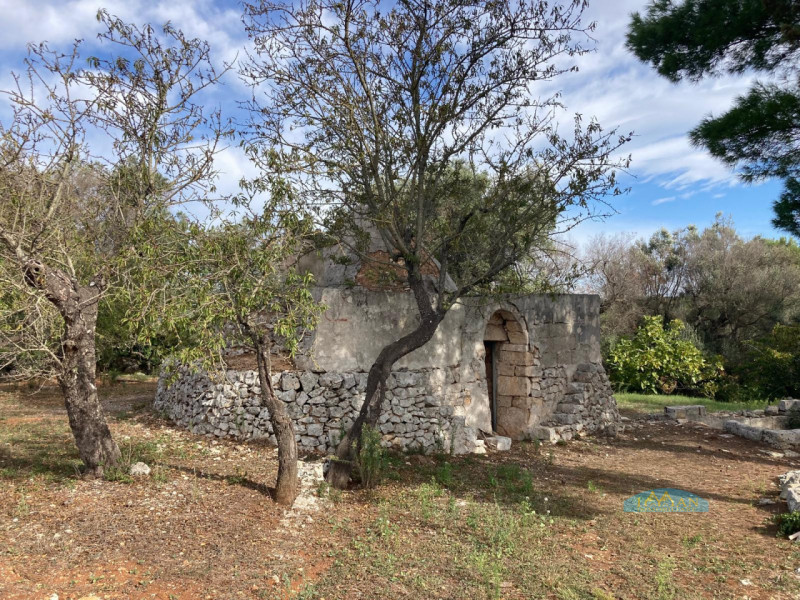 immagine annuncio 3 di 9