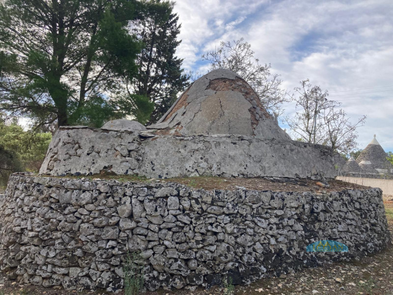 immagine annuncio 6 di 9